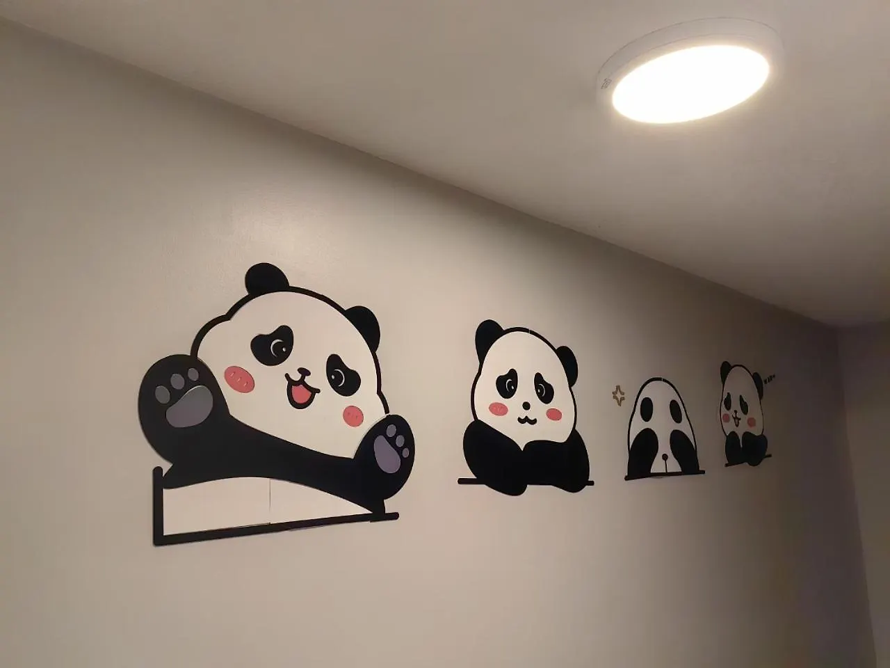 Island Panda Paradise In Victoria Canada